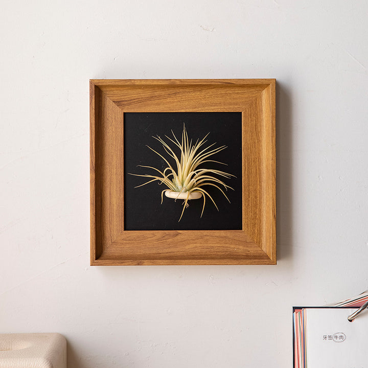 Artistic Plant Display Frame for Home Decor