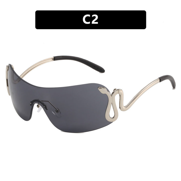 Ladies futuristic sunglasses with elegant swan design Kalsten