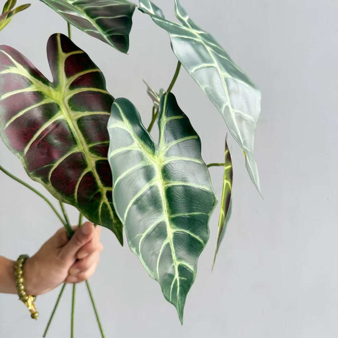 Modern Decorative Plant