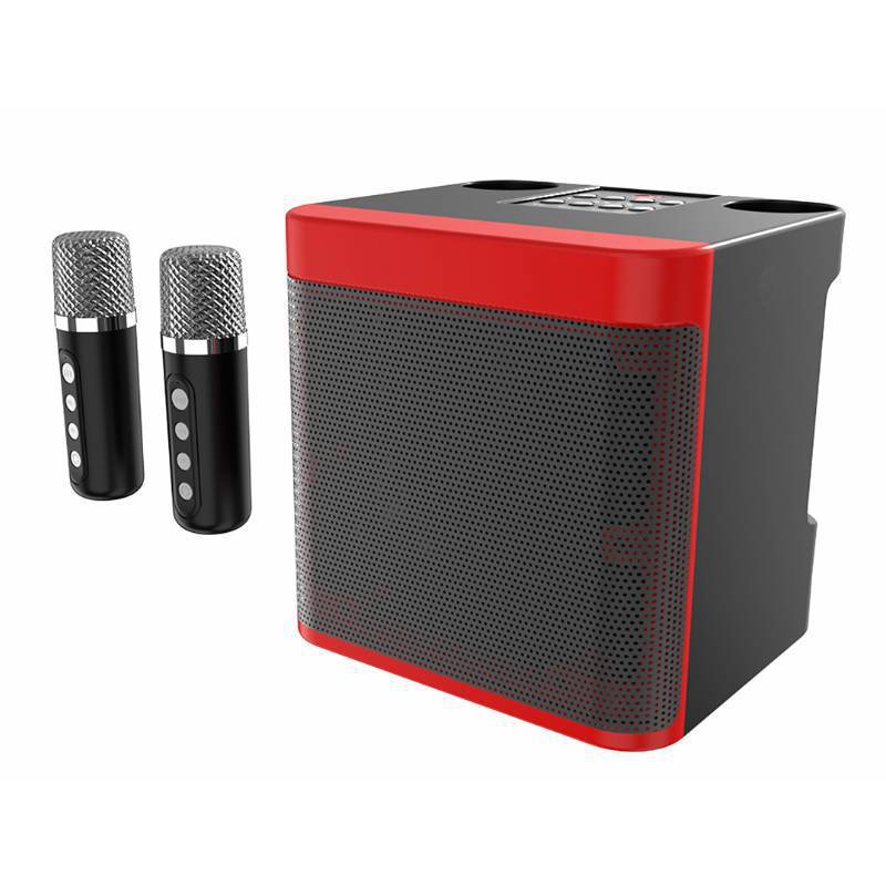 Karaoke Microphone Speaker System Kalsten