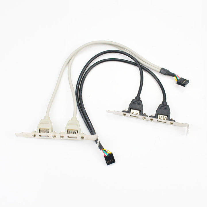USB Expansion Card with Dual USB Ports Kalsten