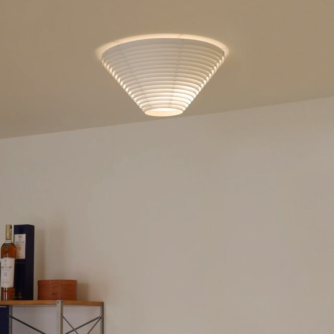 Contemporary Ceiling Light Fixture