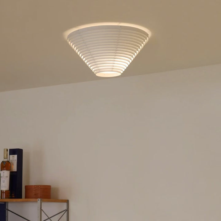 Contemporary Ceiling Light Fixture