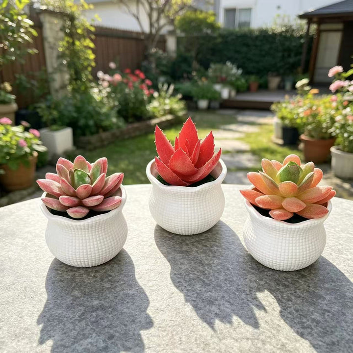 Decorative Faux Cactus Arrangement