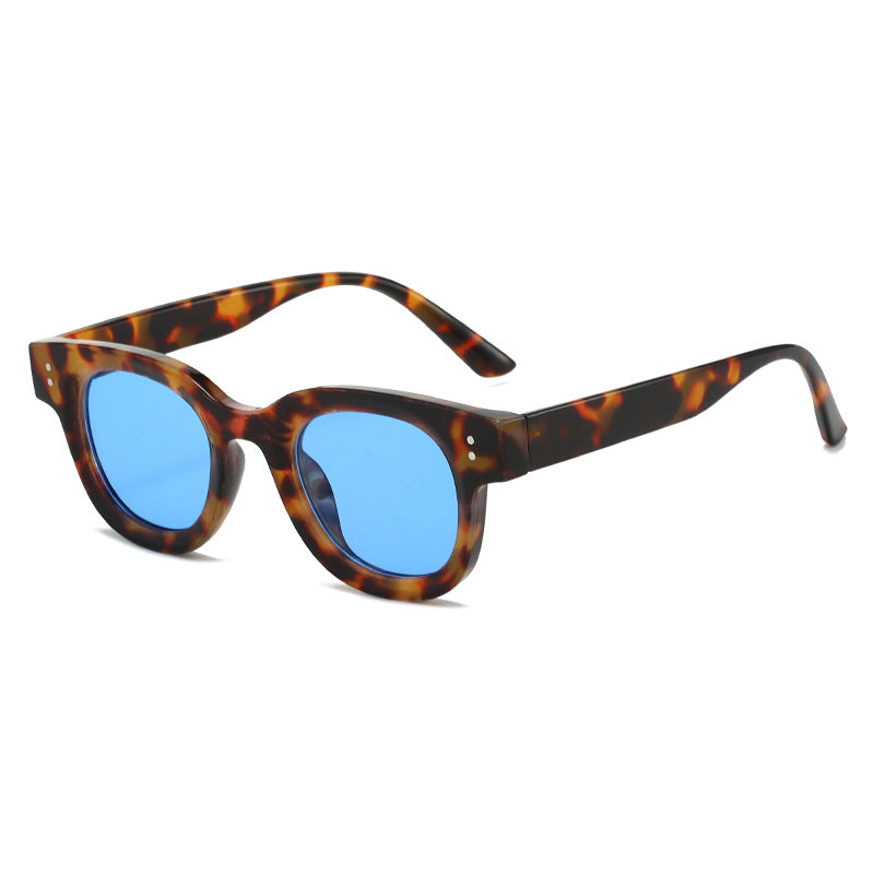 Women's fashionable sunglasses in timeless tortoiseshell pattern Kalsten