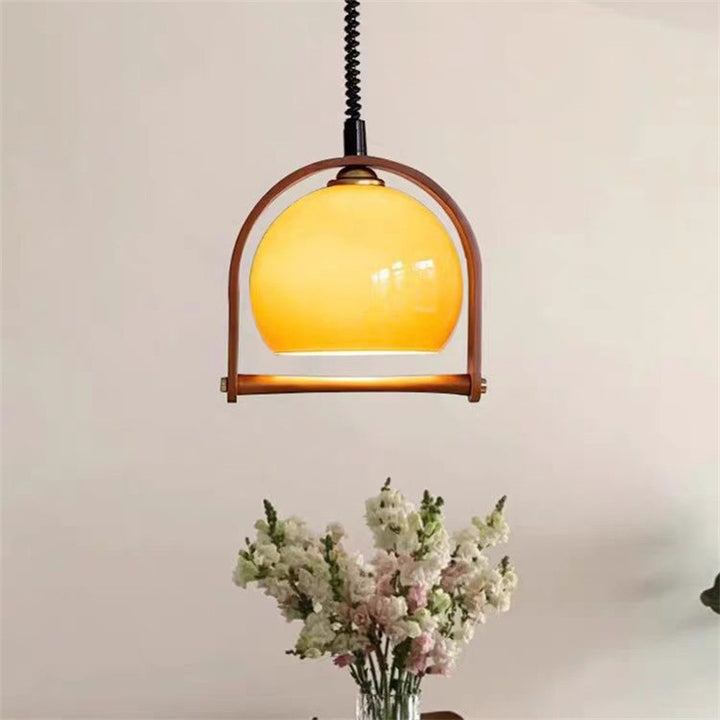 Decorative Hanging  Light Fixture