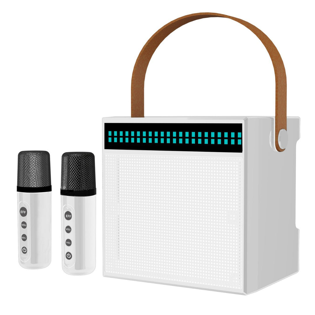 Portable Karaoke System with Dual Microphones Kalsten