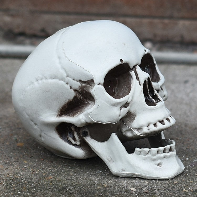 Decorative Skull Phone Stand Kalsten 1790561033