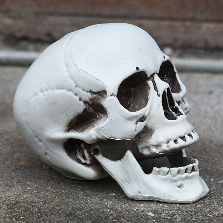 Decorative Skull Phone Stand Kalsten 1790561033