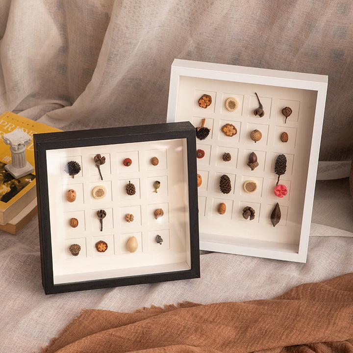 Botanical Specimen Display Frame