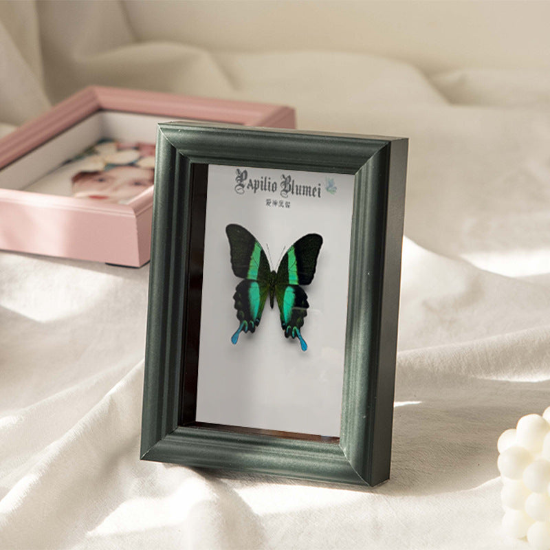 Decorative Butterfly Art Frame for Home Decor