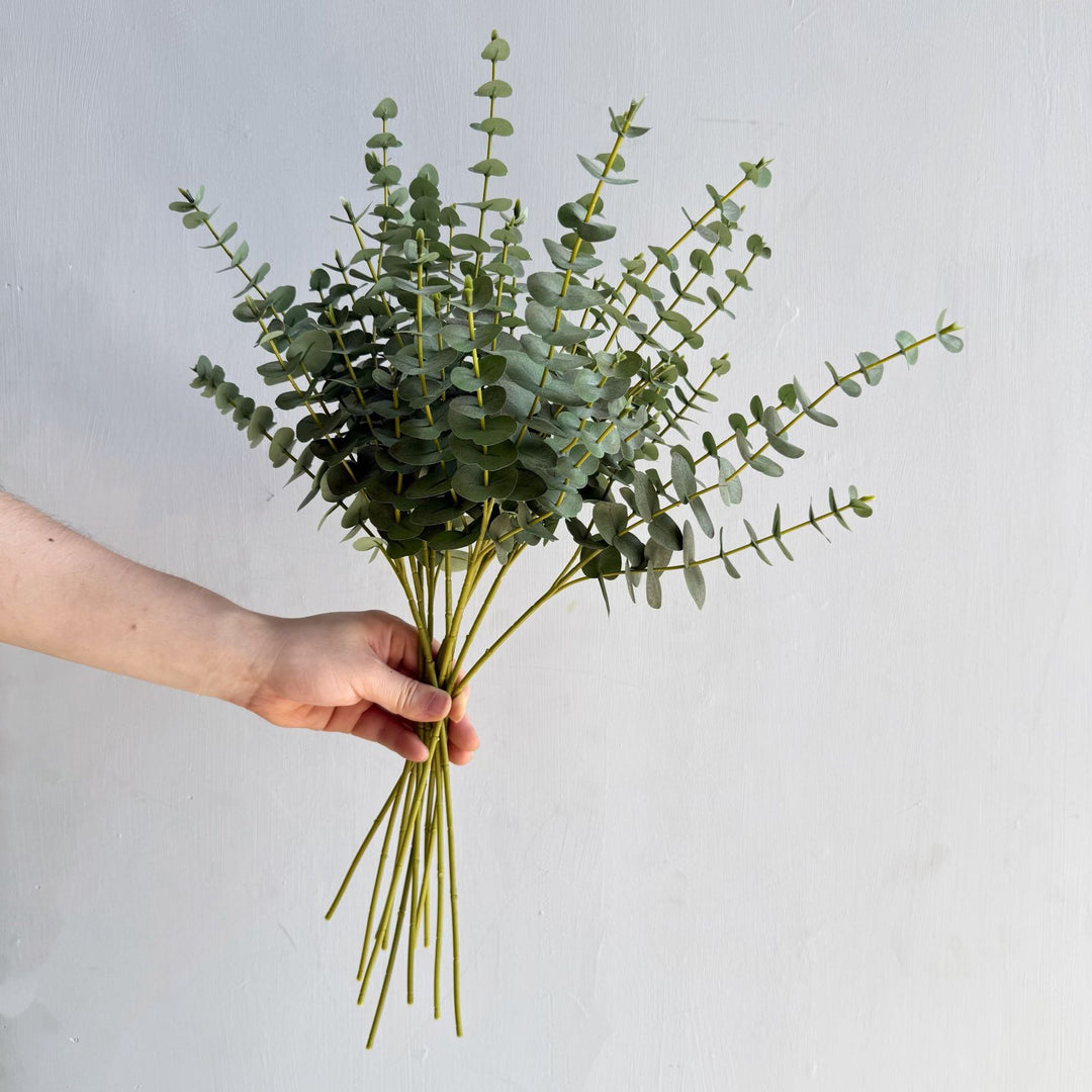 Premium Eucalyptus Stem