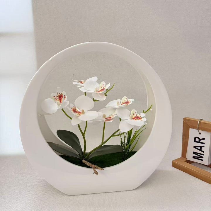 Decorative Orchid Display for Indoor Home Decor