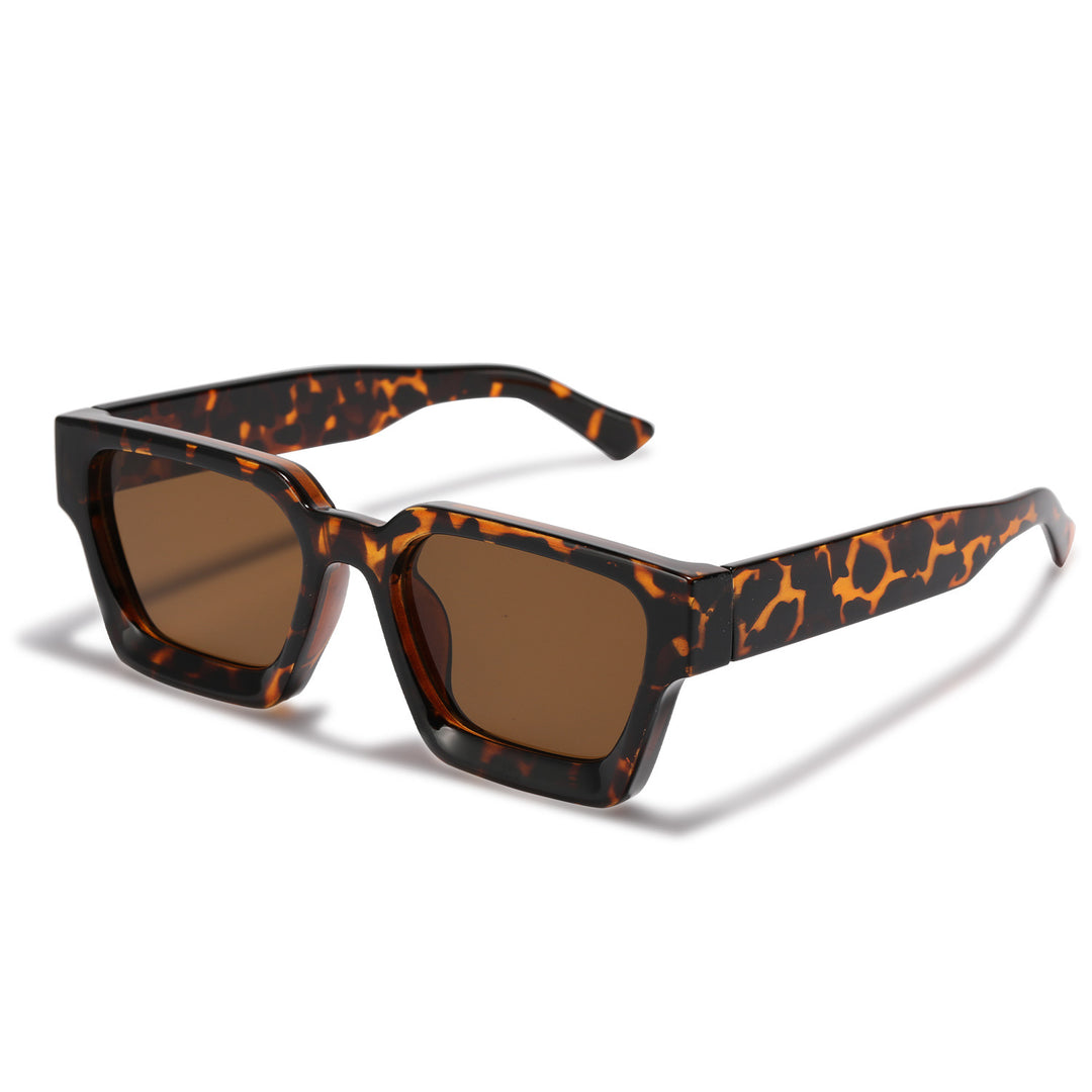 Women's fashionable sunglasses with clear frame and gradient lenses Kalsten