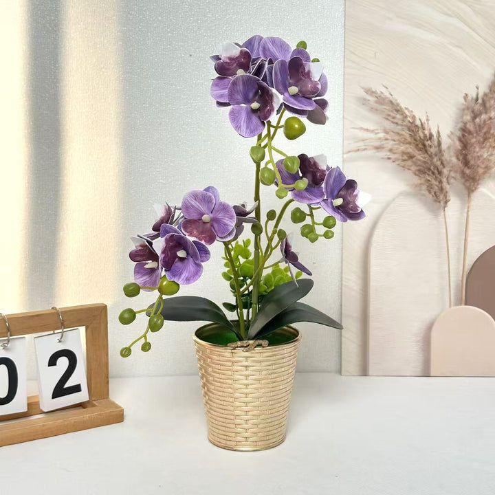 Decorative Orchid Plant for Tabletop Home Decor