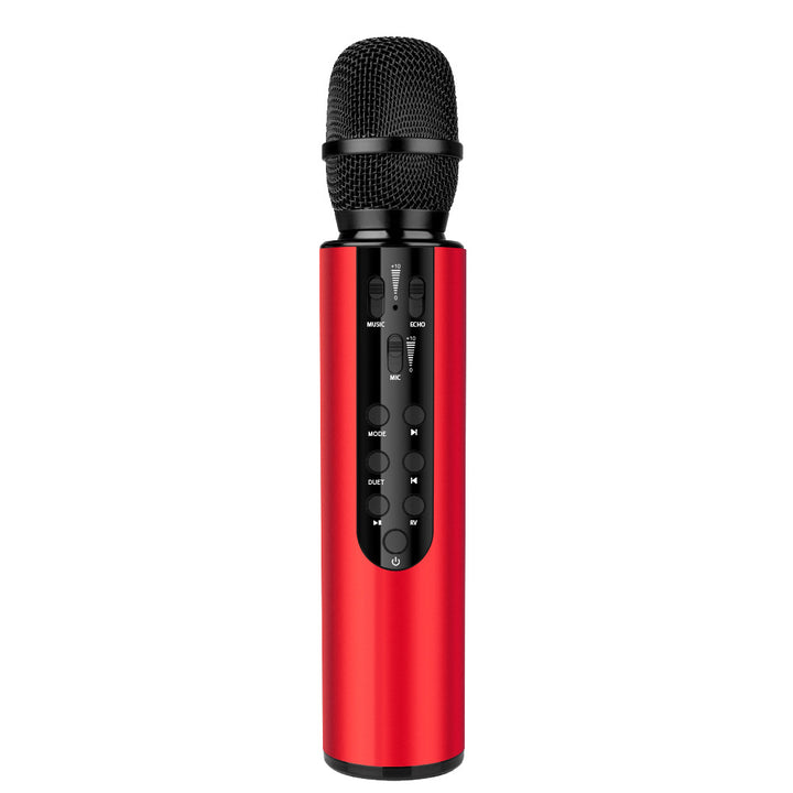 Wireless Karaoke Microphone with Echo Control Kalsten