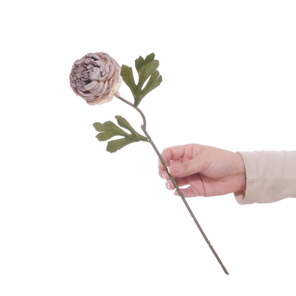 Realistic Floral Stem with Detailed Petals