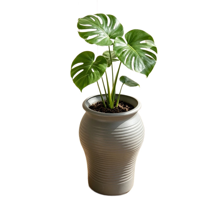 Decorative Planter Kalsten