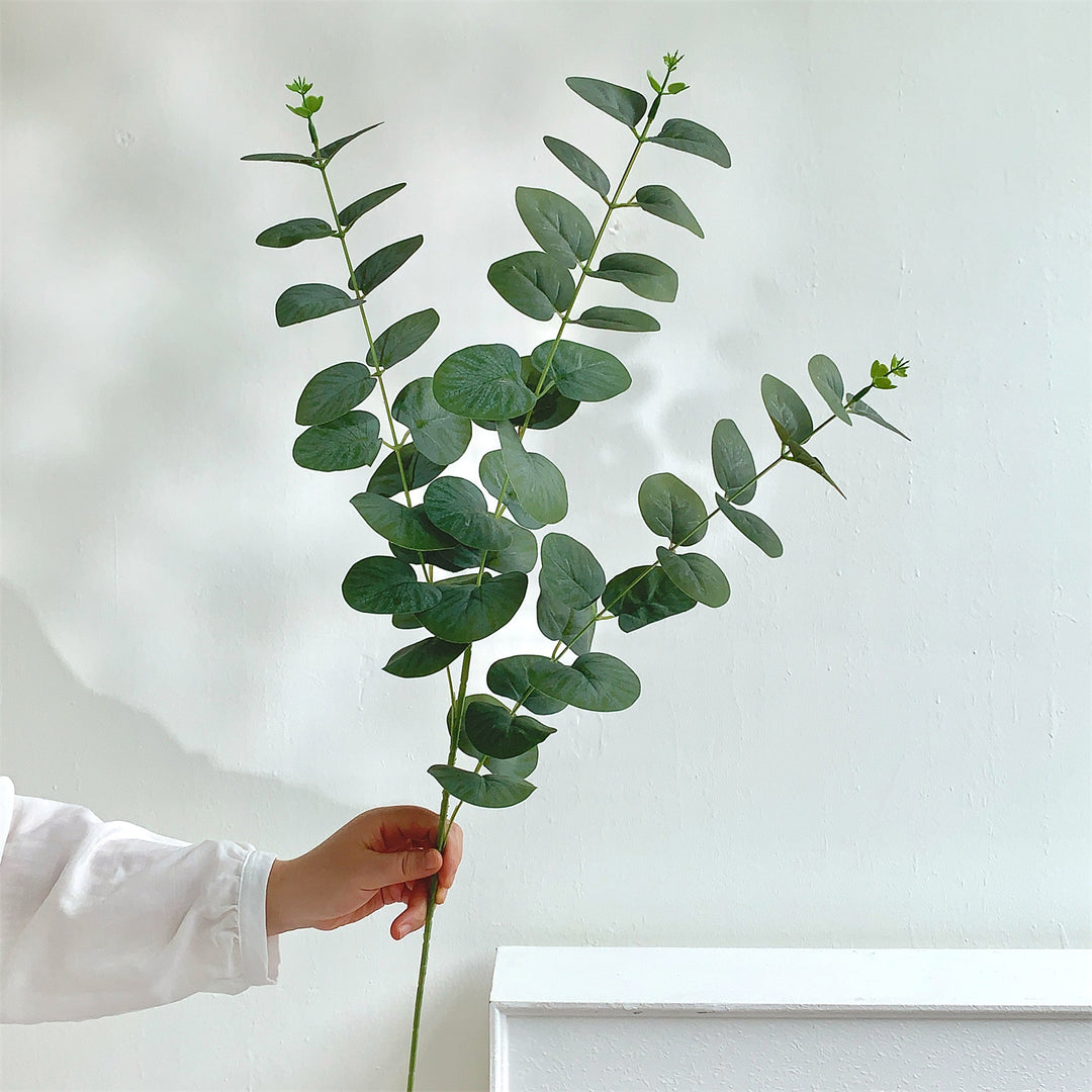 Decorative Eucalyptus Stem