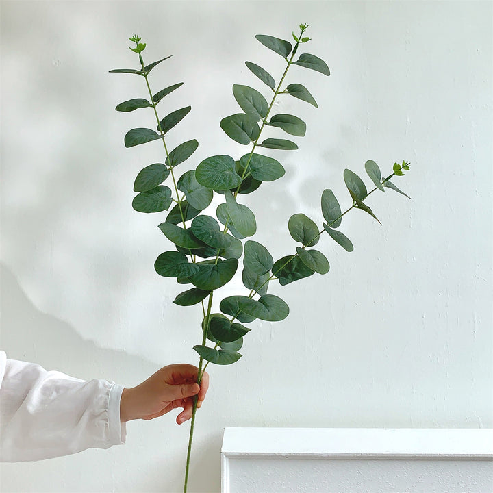 Decorative Eucalyptus Stem