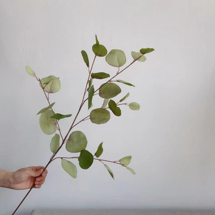 Decorative Eucalyptus Stem