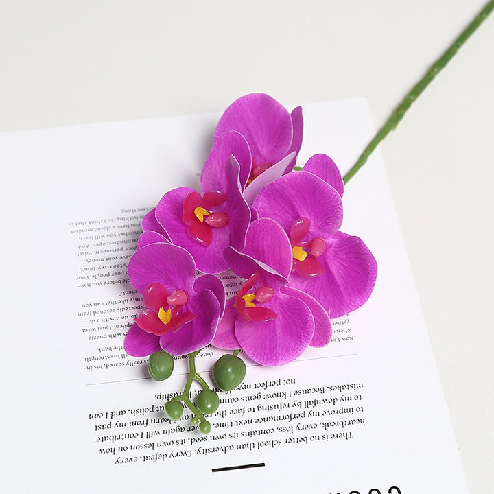 Realistic Orchid Floral Stem