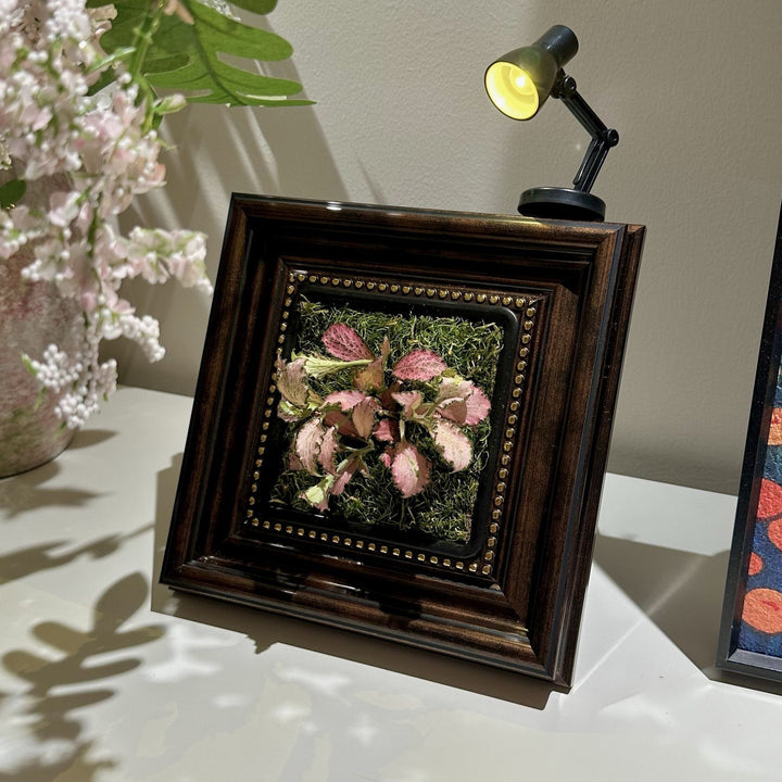 Decorative Plant
