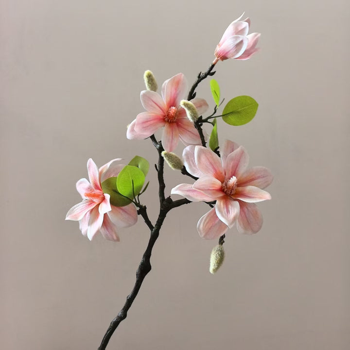 Elegant Magnolia Stem