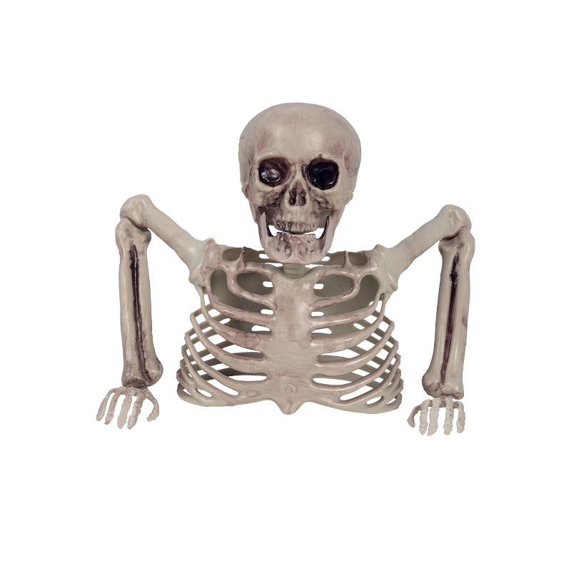 Realistic Skeleton Decoration Kalsten