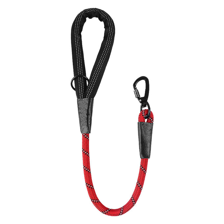 Dog Leash