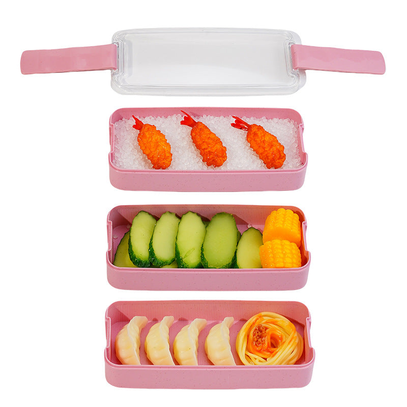 Multi-Compartment Bento Lunch Box