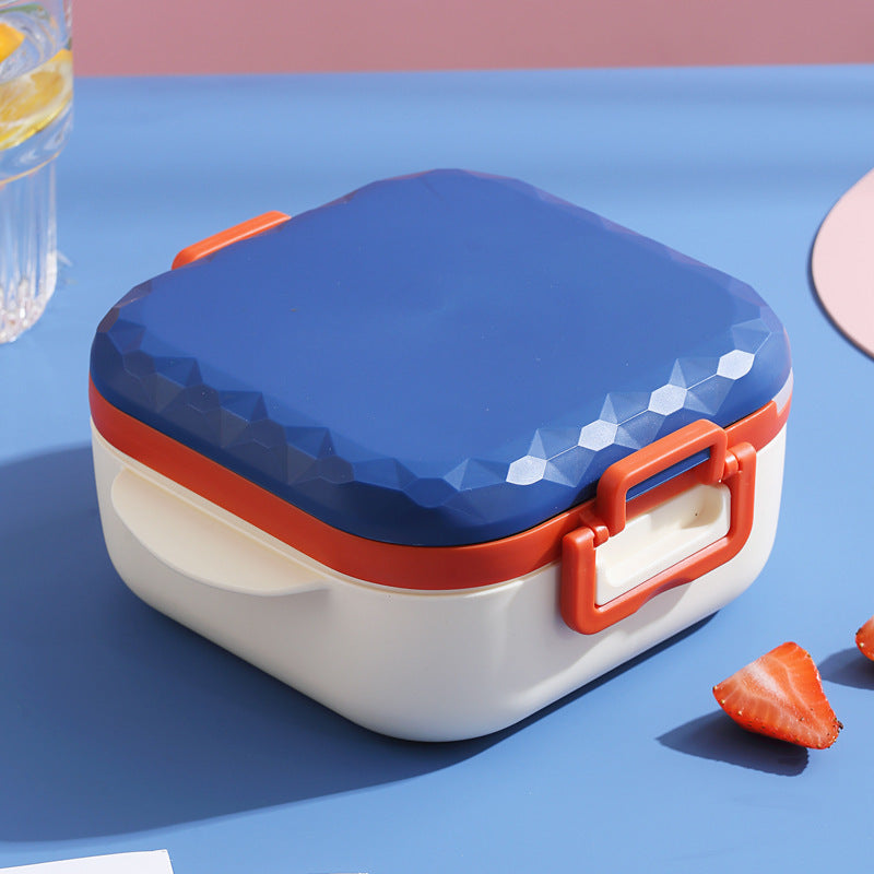 Stylish Multi-Compartment Lunch Box