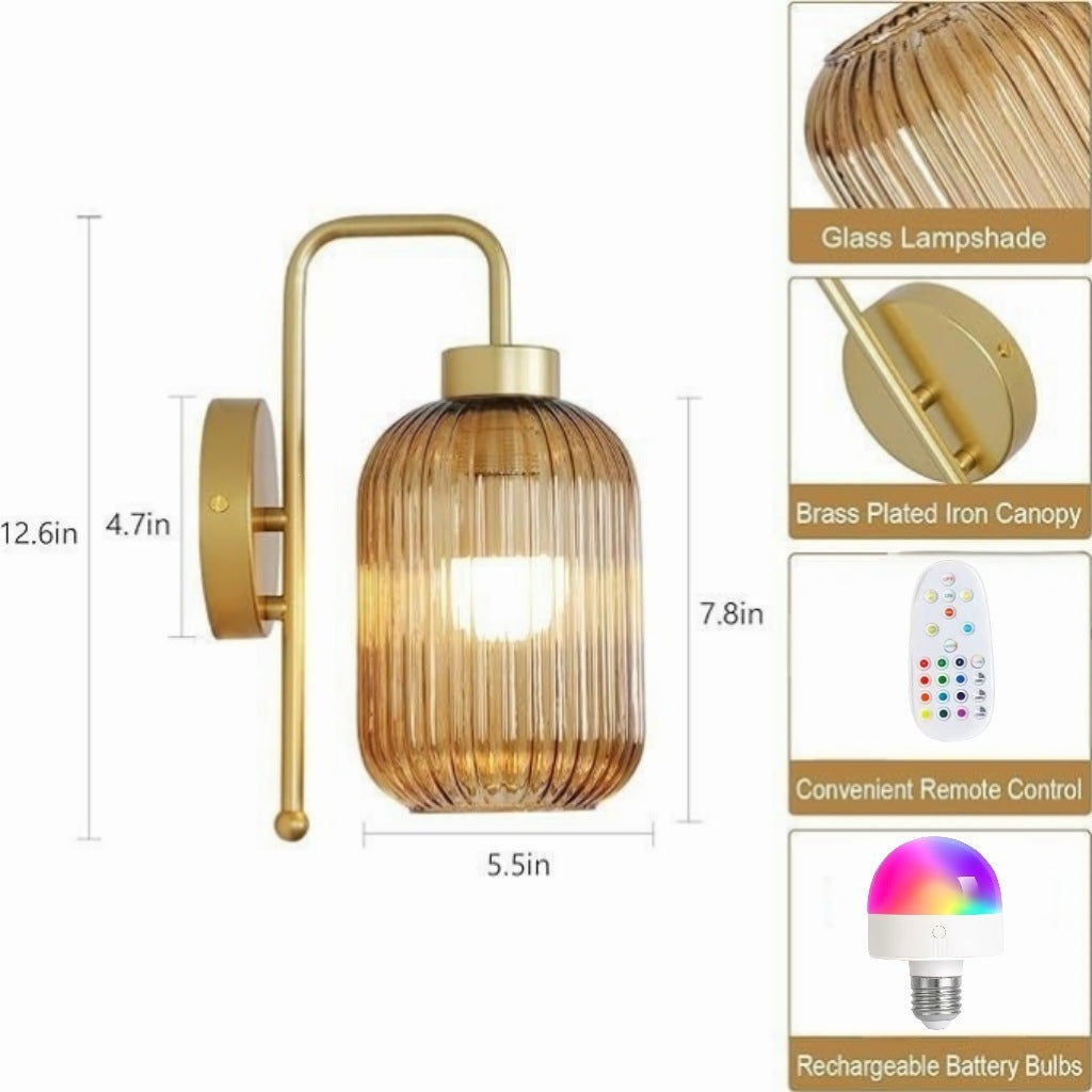Elegant Glass Wall Light Fixture