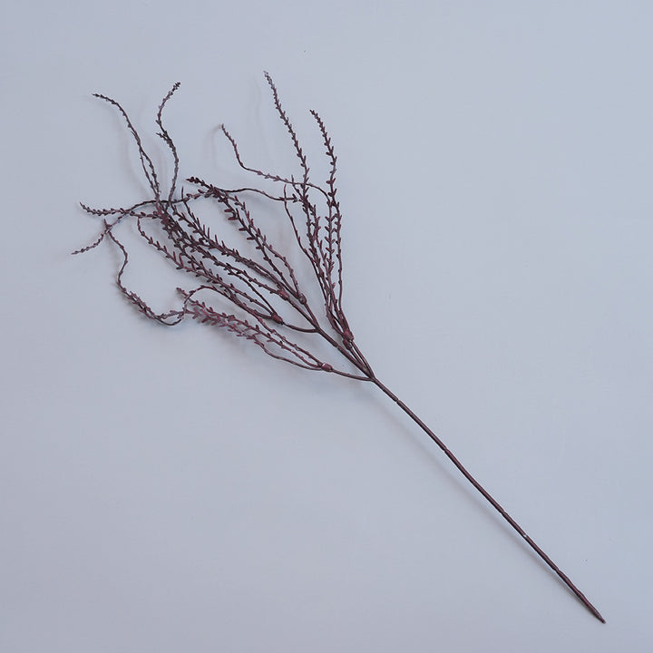 Elegant Dried Botanical Stem