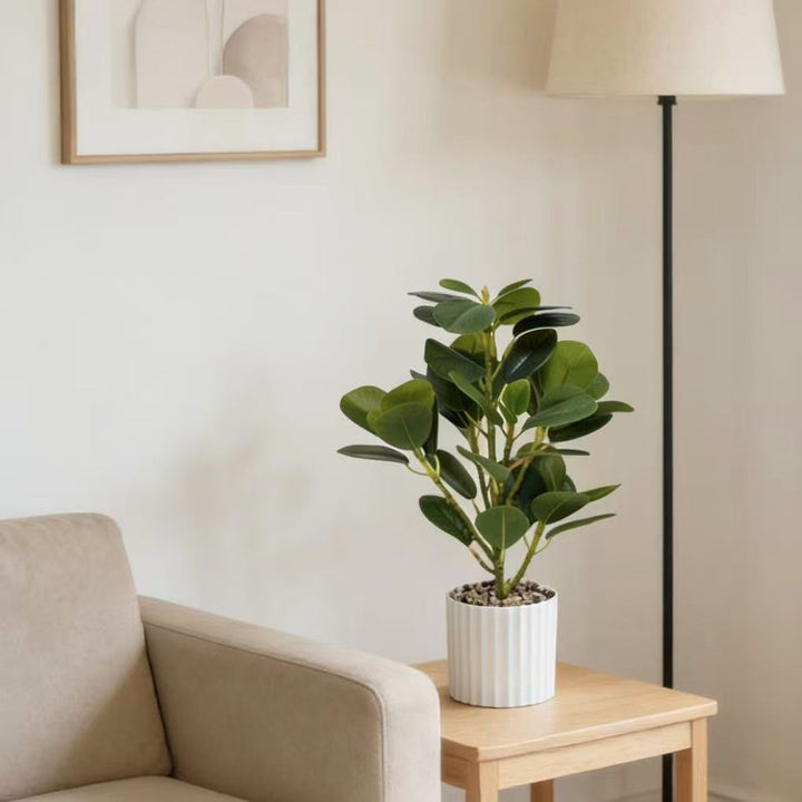 Decorative Faux Rubber Plant for Indoor Home Decor