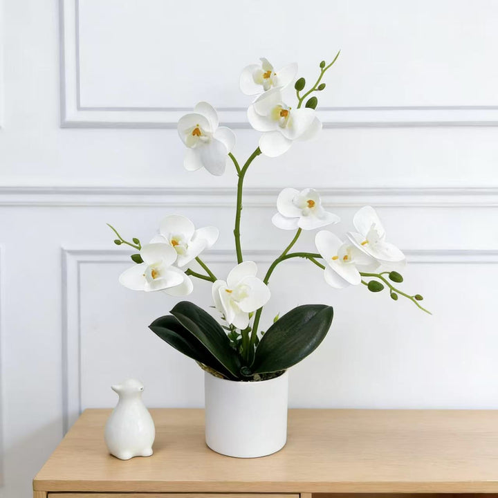 Decorative Orchid for Home Decor Display