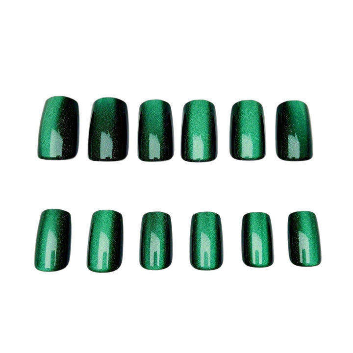 Ombre Glossy Nail Set