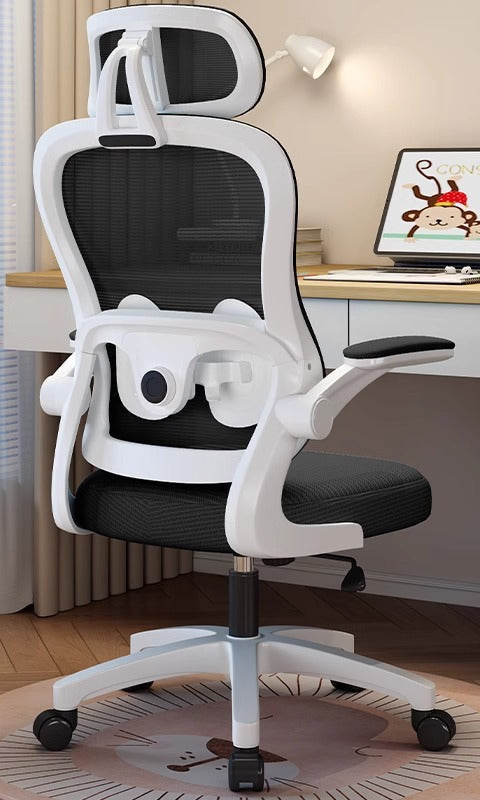 Ergonomic Study Chair Kalsten