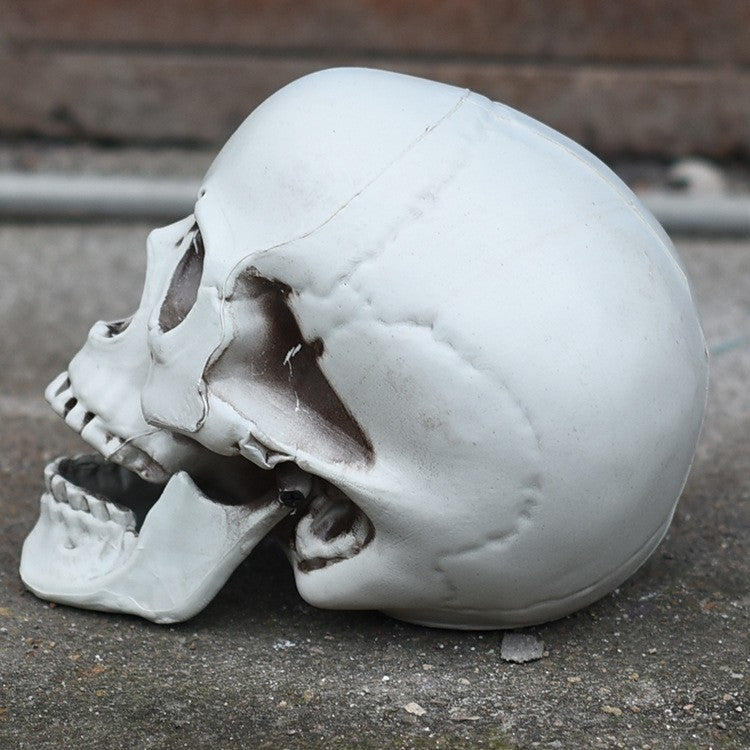 Decorative Skull Phone Stand Kalsten 1790561033