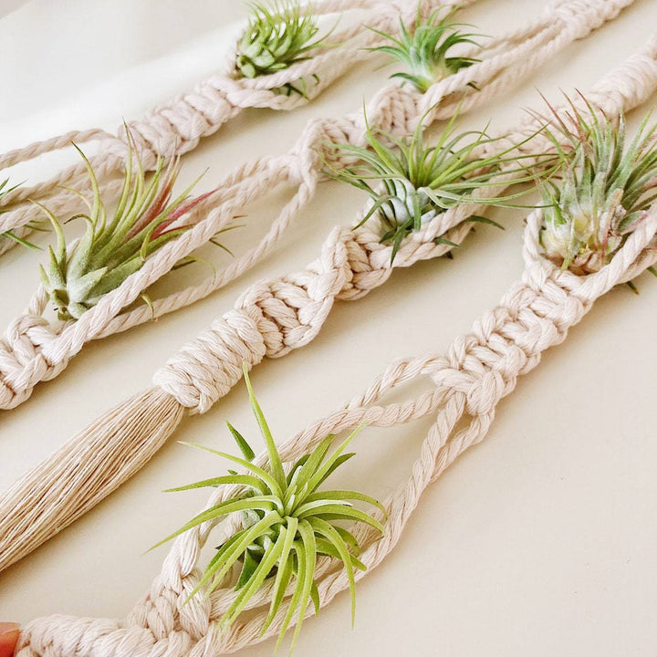 Elegant Macrame Plant Wall Hanging Kalsten