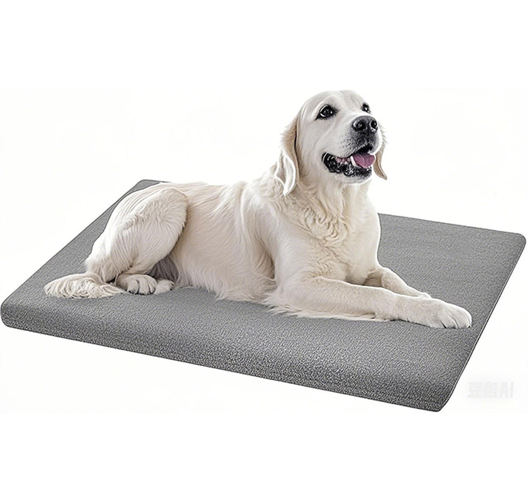 Orthopedic Dog Bed