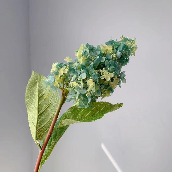 Realistic Hydrangea Stem