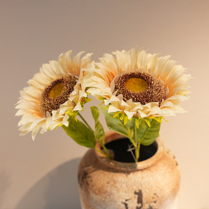 Decorative Plant Kalsten