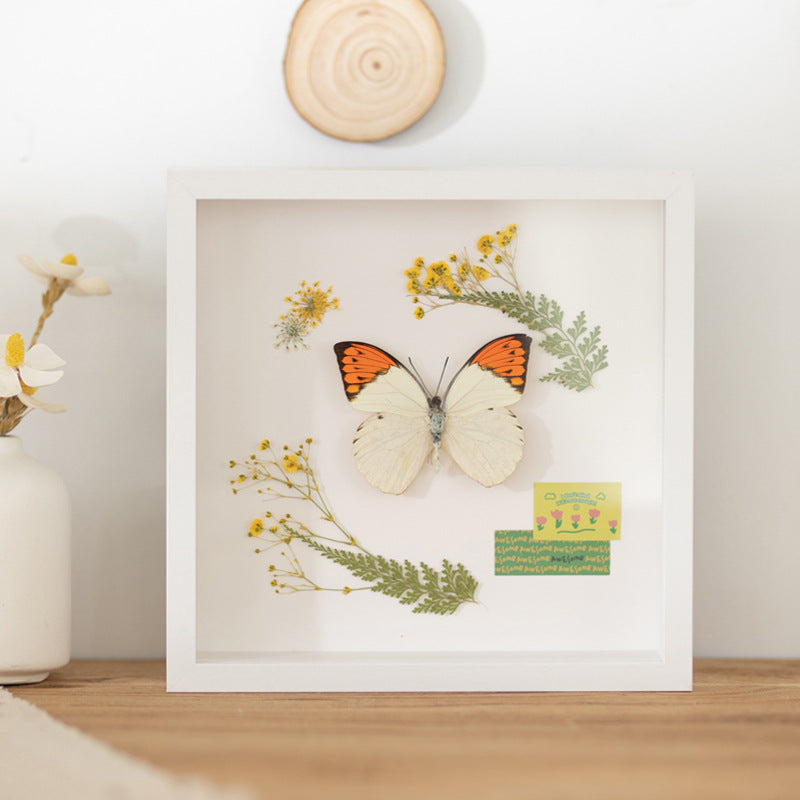 Decorative Framed Butterfly Art for Home