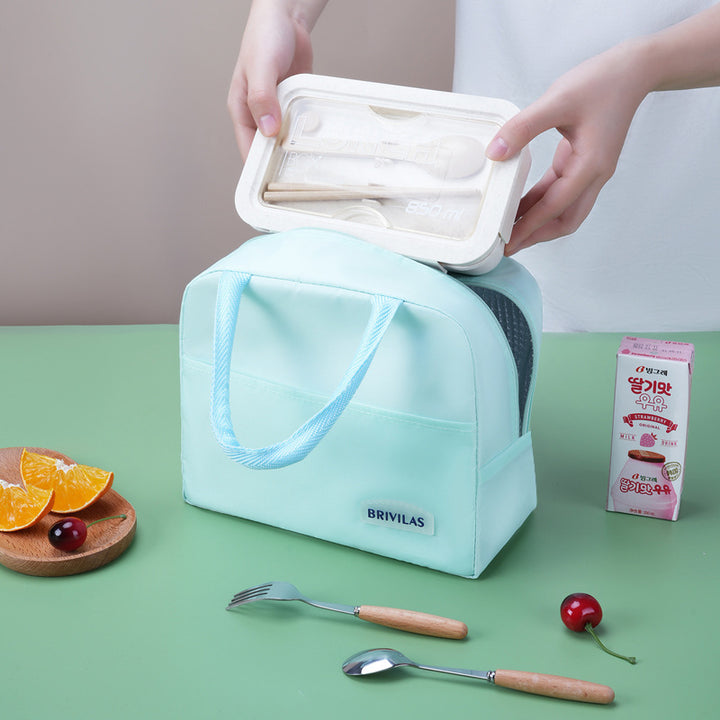 Stylish Insulated Lunch Carrier