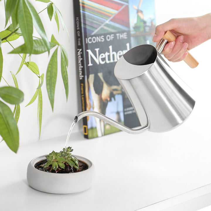 Premium Stainless Steel Watering Pot