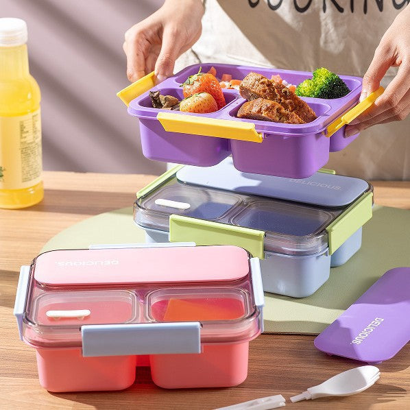 Multi-Section Insulated Lunch Box