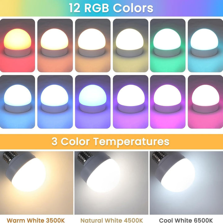 LED Projection Light Fixture