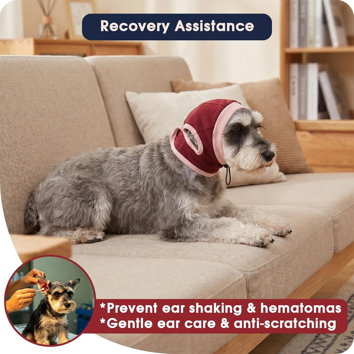 Dog head protection Kalsten