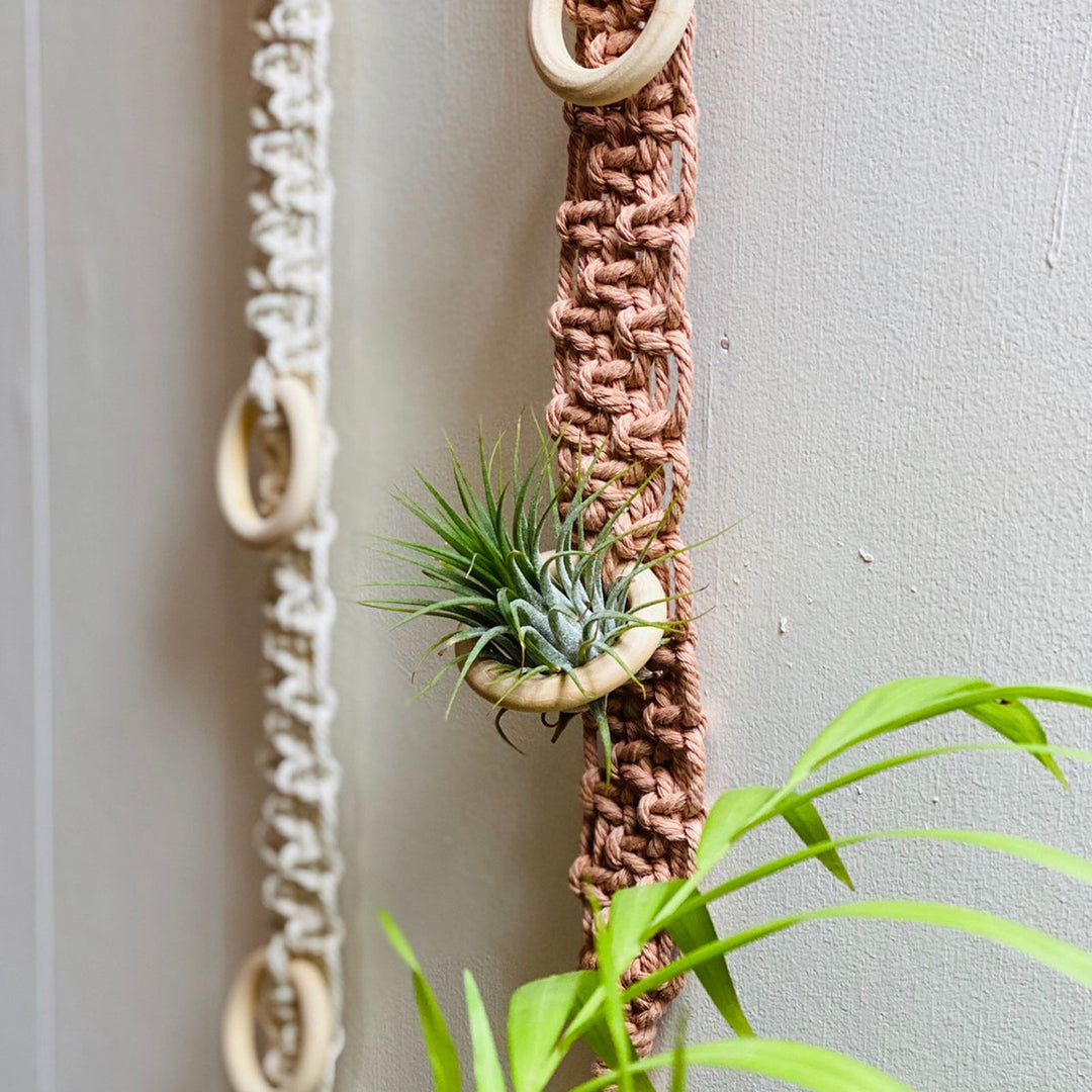 Macrame Wall Plant Holder Kalsten